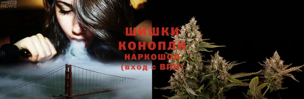 apvp Кукмор